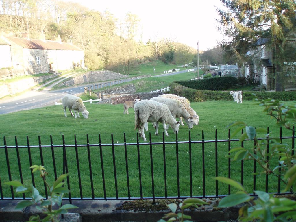 Hotel Burnley House Hutton le Hole Zewnętrze zdjęcie